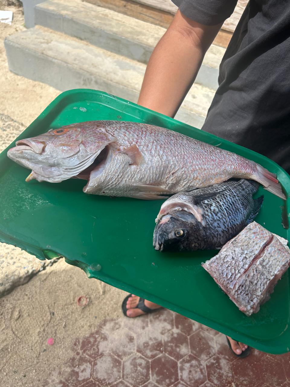 colombia (47)