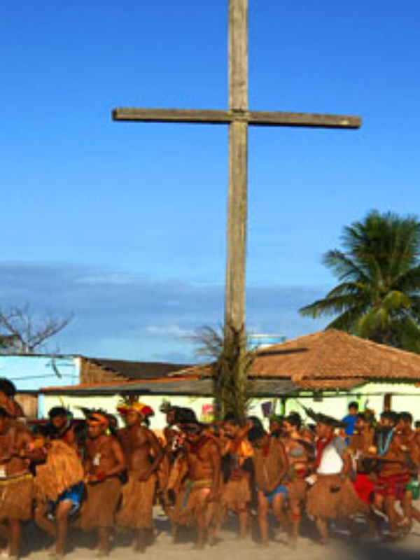 coroa vermelha (2)