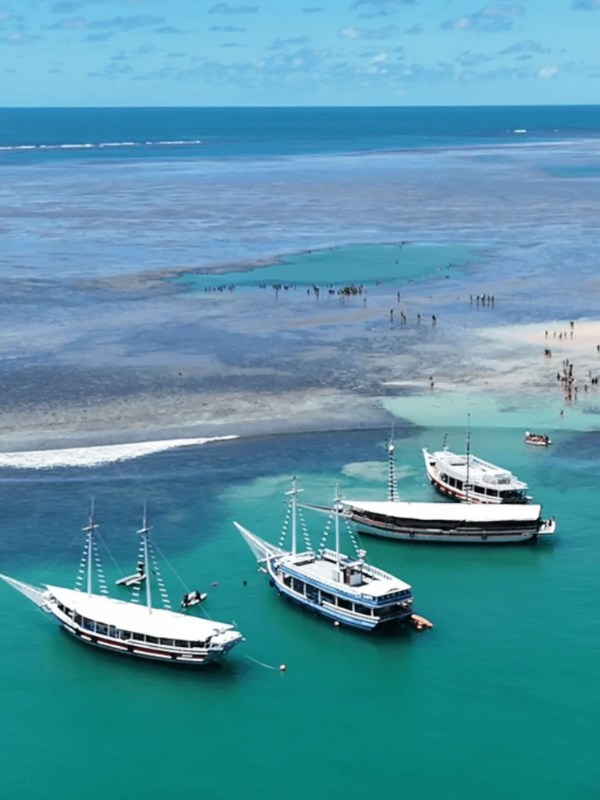 recife de fora (6)