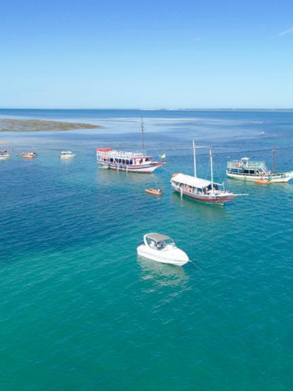recife de fora (7)